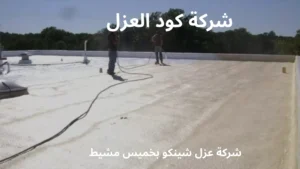 شركة عزل شينكو بخميس مشيط