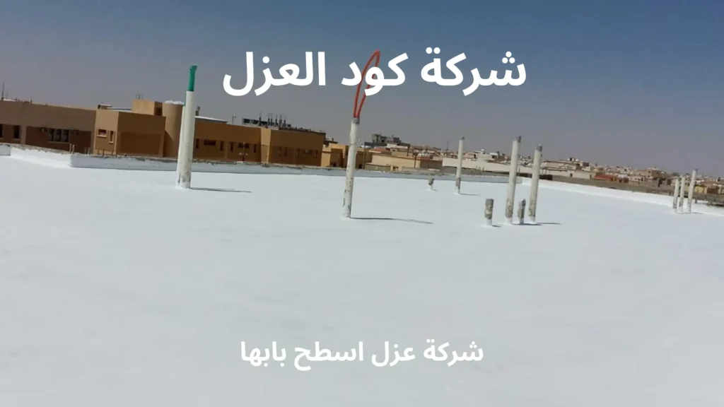 افضل شركة عزل اسطح بابها