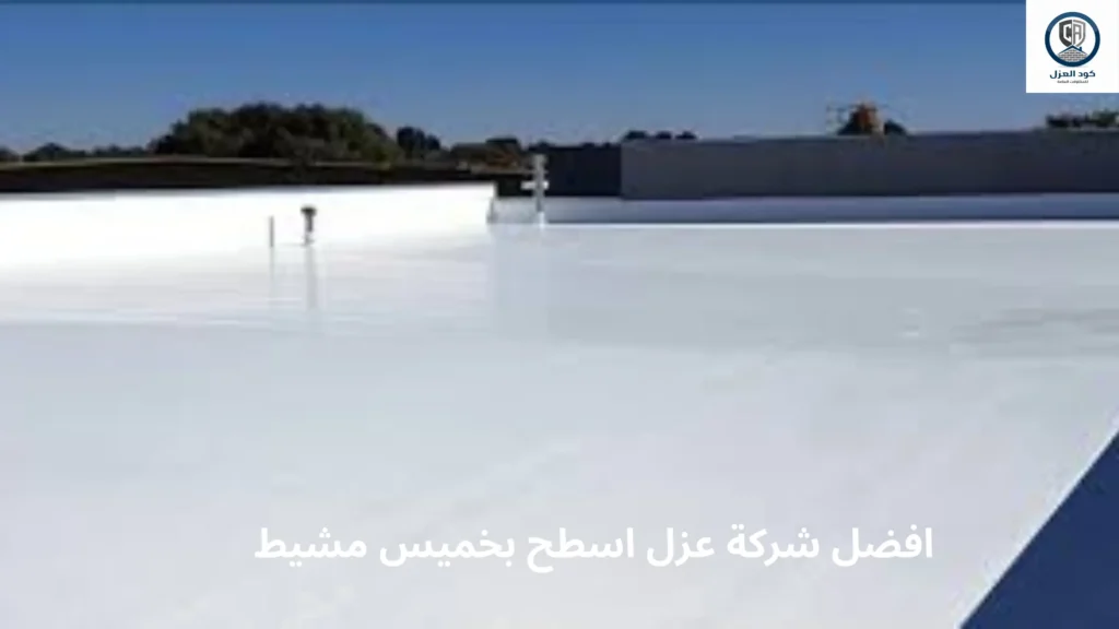افضل شركة عزل اسطح بخميس مشيط